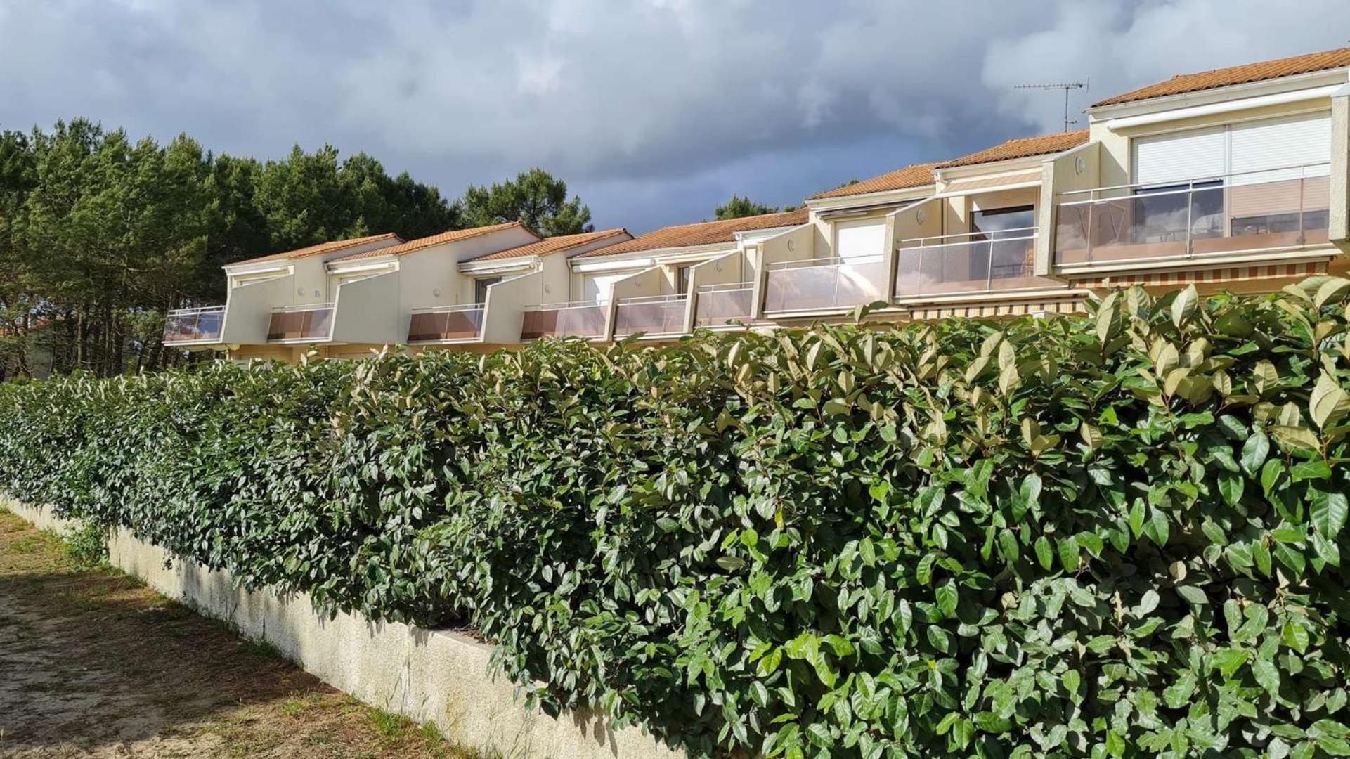 Saint Georges De Didonne - Vue Mer Pour Ce Studio Cosy En Rez-De-Chaussee Exterior photo